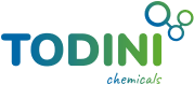 Todini Europe Sp. Krakow